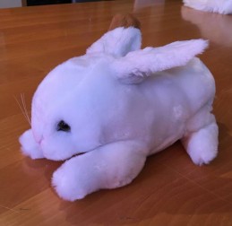  - TERAPIE NON FARMACOLOGICHE - Cirillo il Coniglio